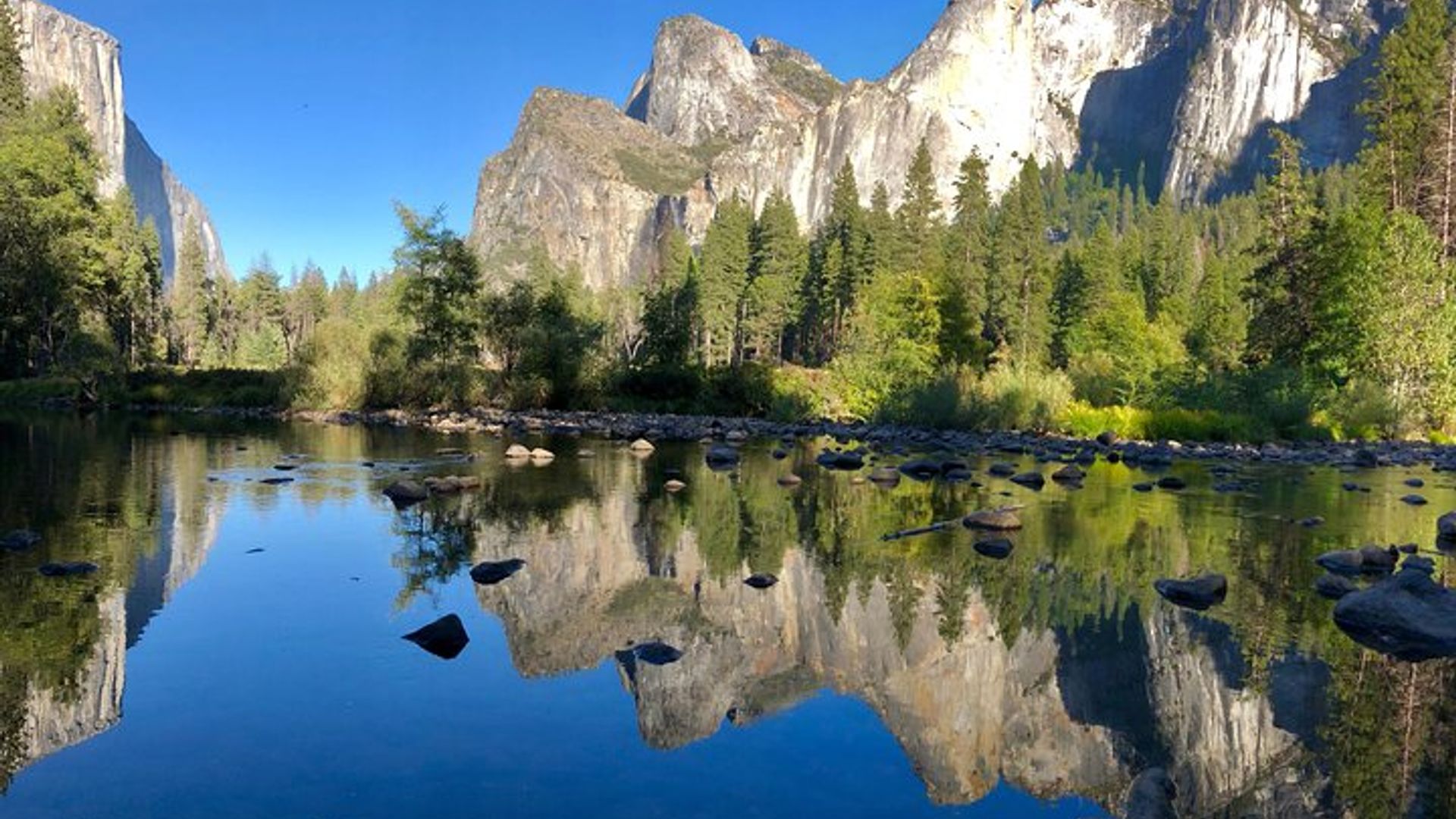 Yosemite National Park Full-Day Coach Tour From San Francisco image 2