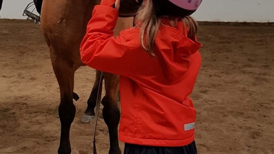 Stable Visit