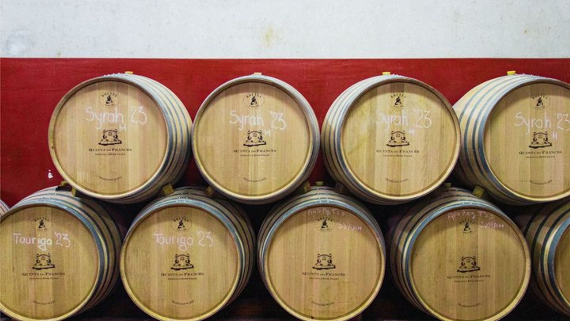 Albufeira Wine Tasting : Weingut-Tour & historische Silben
