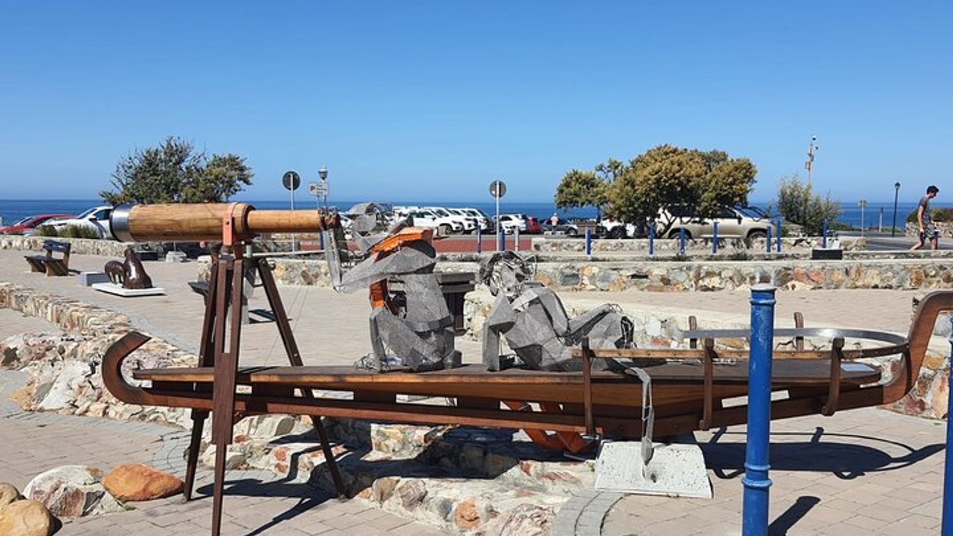 Hermanus Whale Watching Shared Boat Trip & Penguins Private Tour
