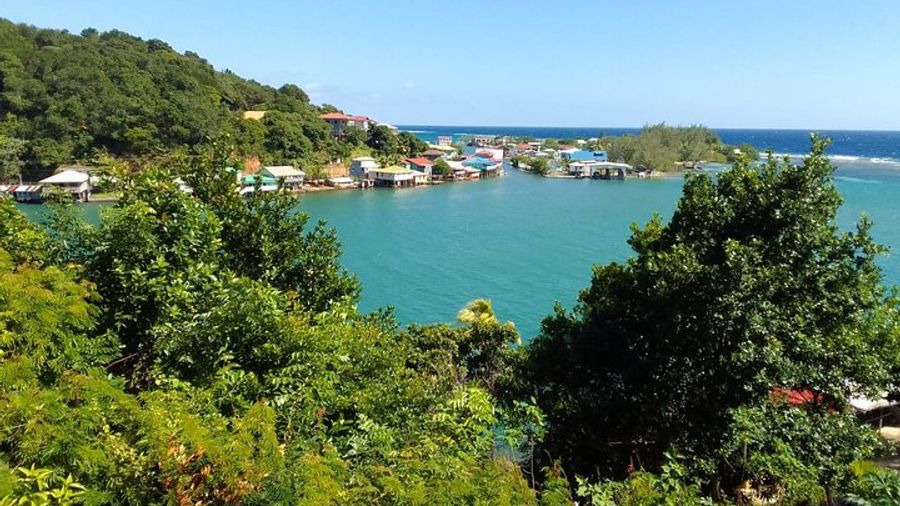 Sloths and Monkeys Roatan Island and Beach Break Private