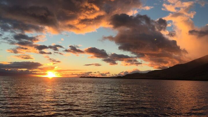 Ma'alaea Premium Dinner Cruise: Four-Course Dining Experience
