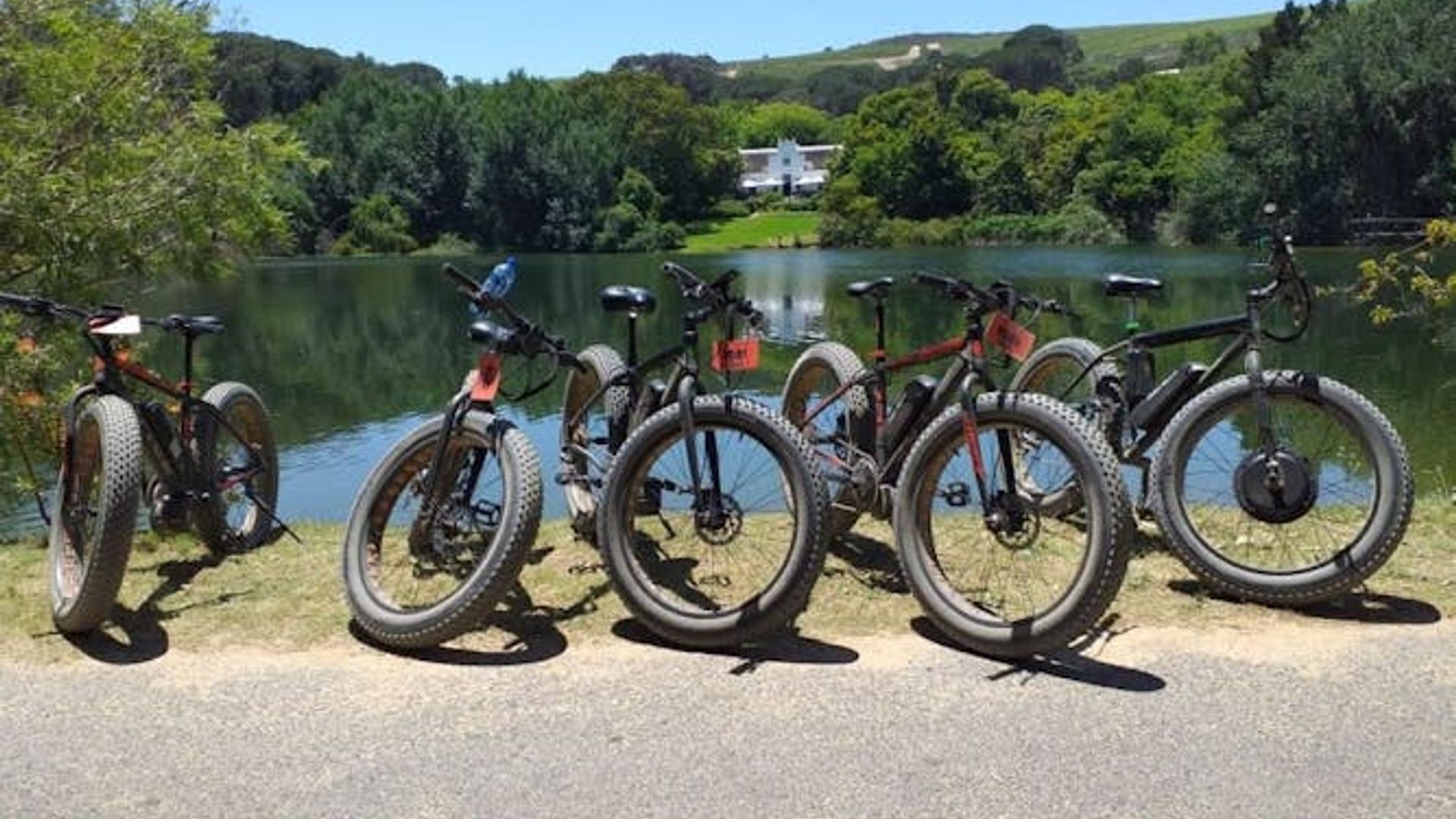 E-Bike Cape Winelands Half Day Tour from Cape Town
