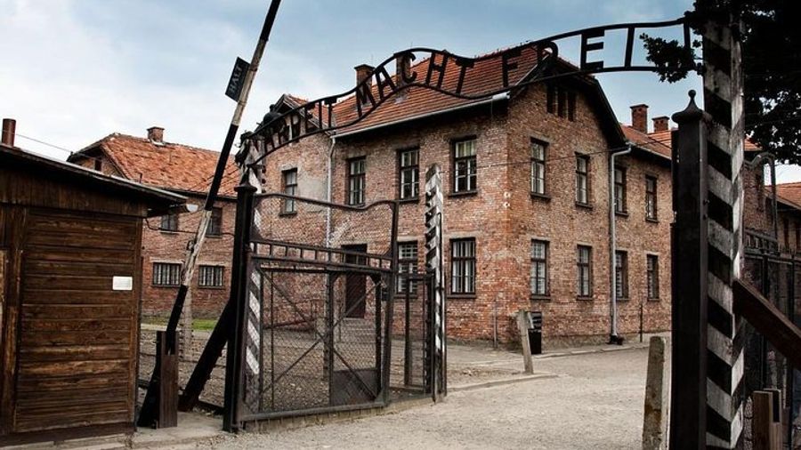 Auschwitz-Birkenau and Wieliczka Mine Group Tour From Krakow