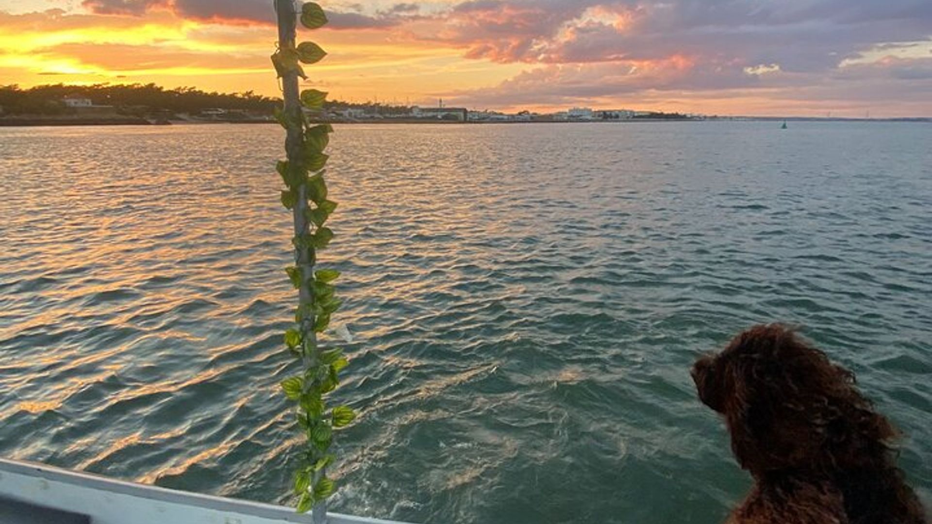 1 Stunde Bootstour bei Sonnenuntergang in Vila Real de Santo Antonio Portugal