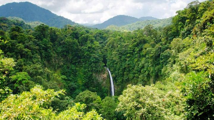 Arenal Volcano, Waterfall, Hot Springs With Lunch, Dinner