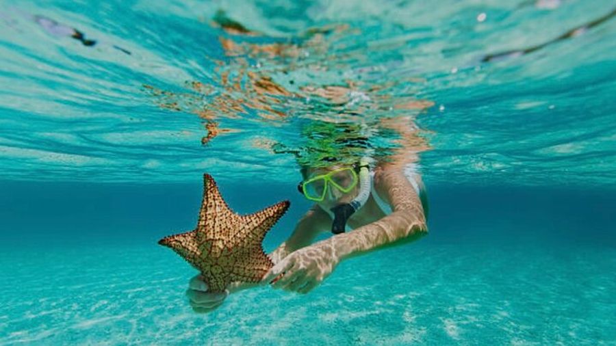 Roatán Snorkeling Tour & West Bay Beach Day Pass
