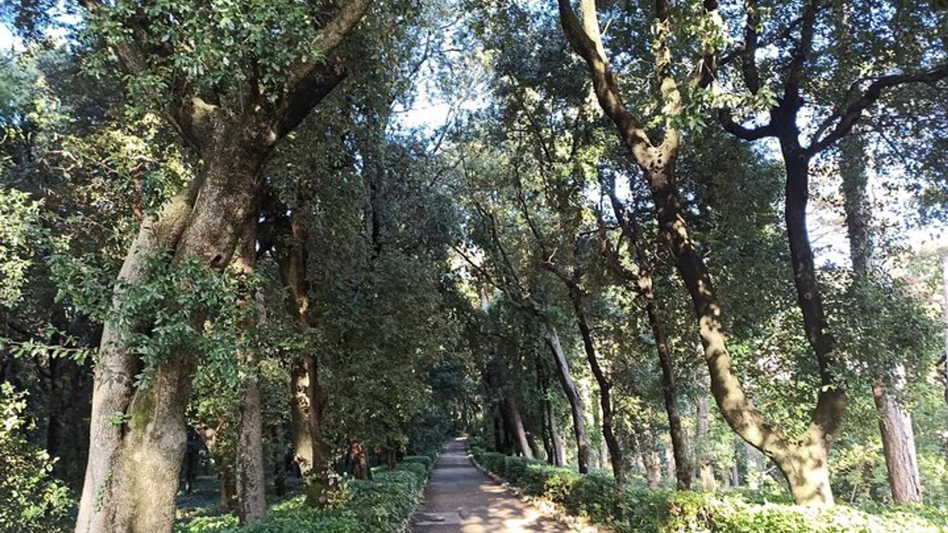 Tour of the Historical Museum and Miramare Castle Park in Trieste