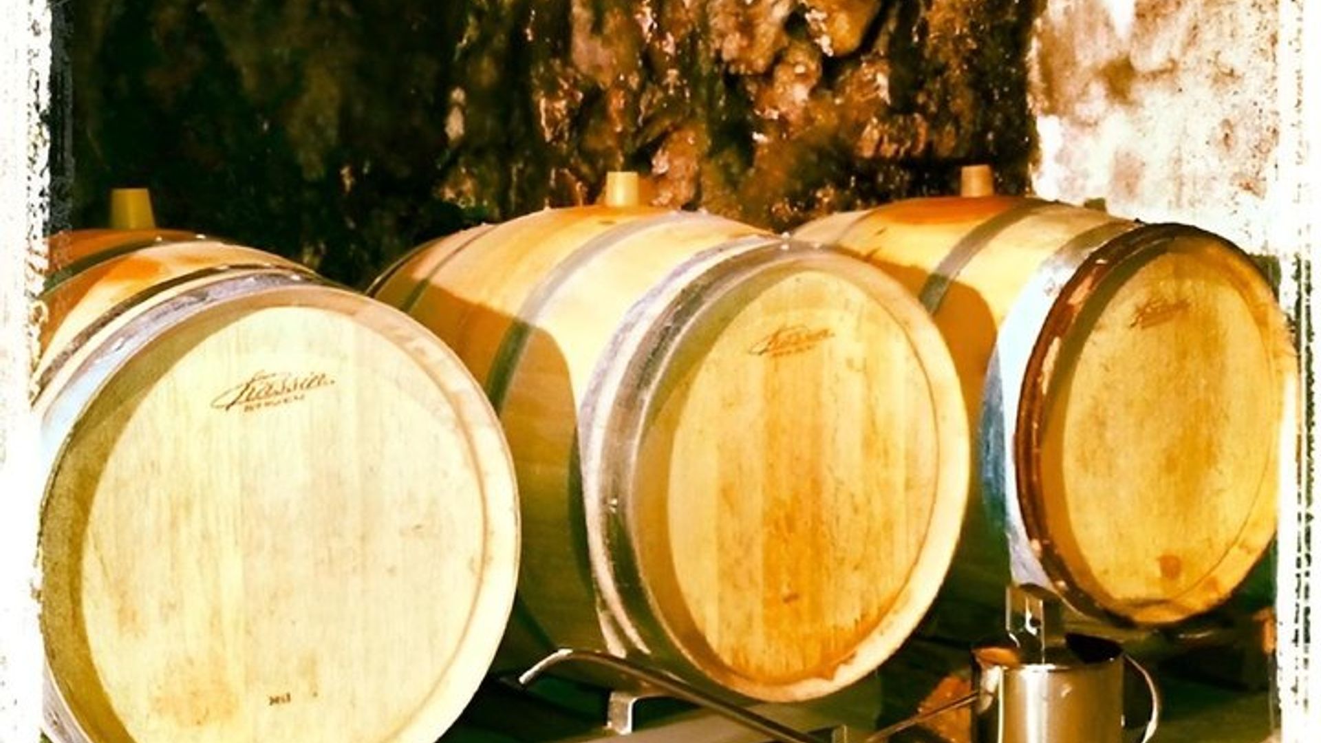 Valle del Loira, viñedo Vouvray y visita a la bodega con degustación