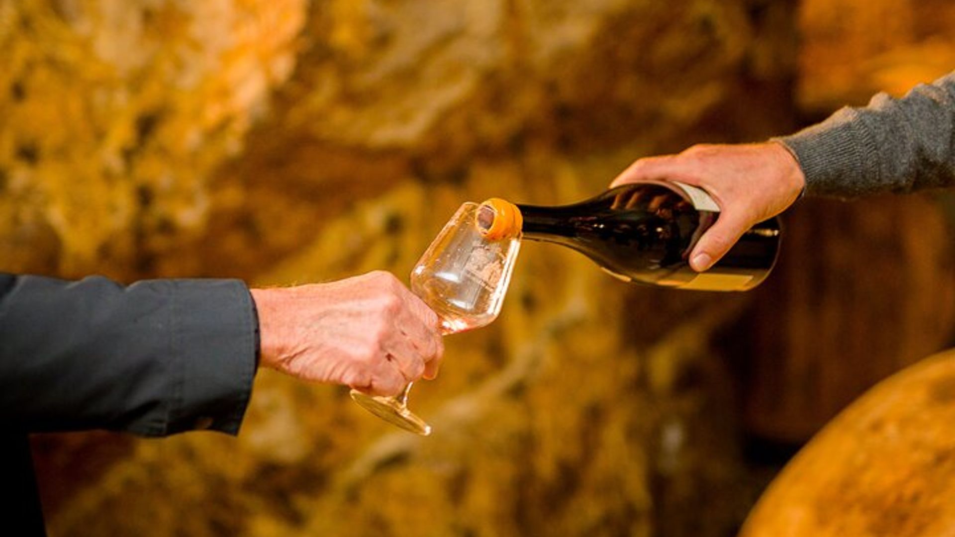 Touraine Wine Tour from Tours or Amboise