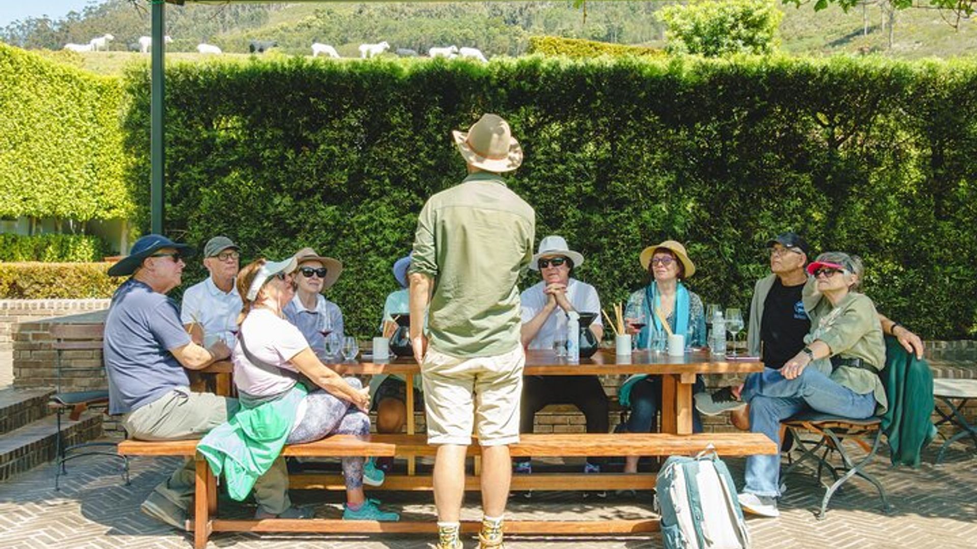 Paseo del vino de Franschhoek con almuerzo