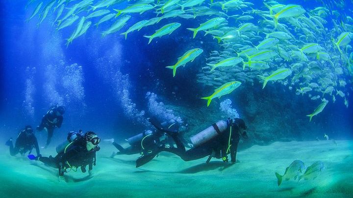 Cabo San Lucas Certified 2 Tank Dive at the Famous Arch and Land's End