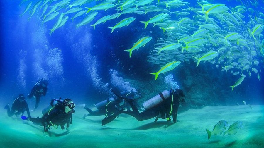 Cabo San Lucas Certified 2 Tank Dive at the Famous Arch and Land's End