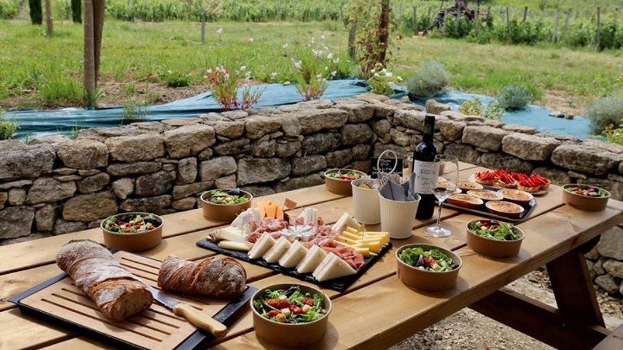 Bordeaux: Small-Group Guided Winery Tour With Lunch, Tastings