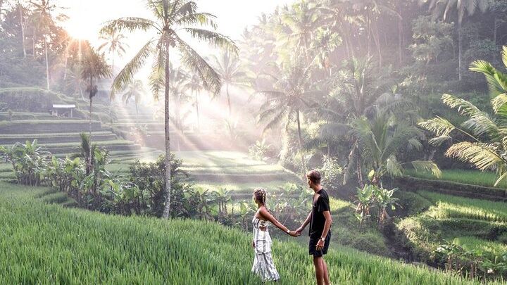 Bali Private inclusive tour: Best of Ubud in a Day