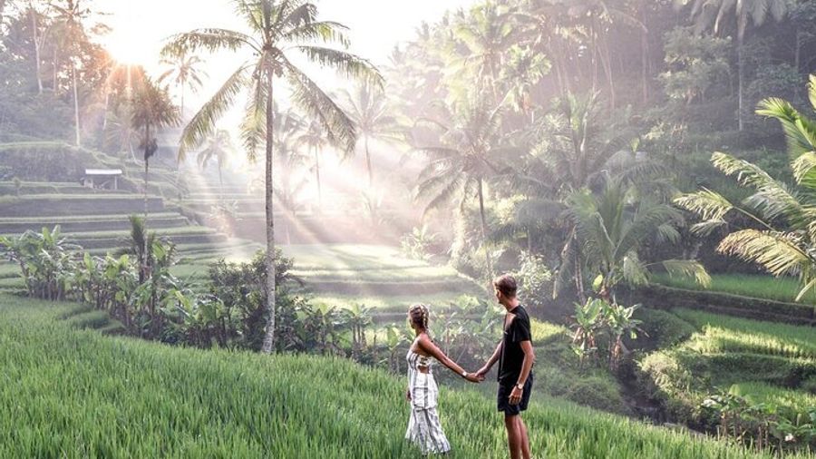 Bali Private inclusive tour: Best of Ubud in a Day