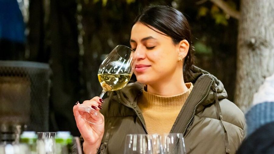Concha y Toro Winery: Tasting Tour From Santiago