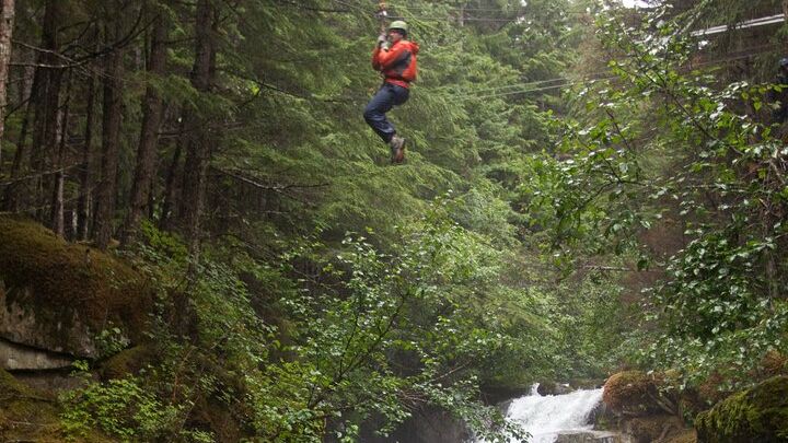 Grizzly Falls Ziplining Expedition