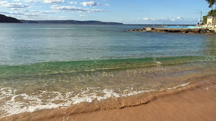 Sydney Northern Beaches, Ku-Ring-Gai Park Small-Group Day Trip