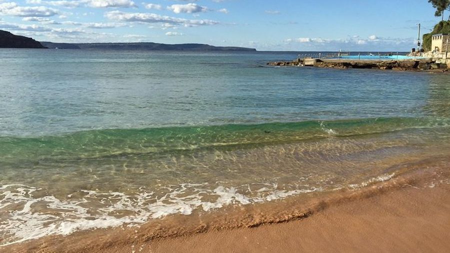 Sydney Northern Beaches, Ku-Ring-Gai Park Small-Group Day Trip