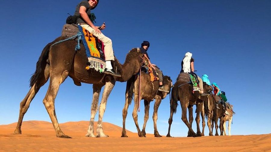 7-Day Casablanca to Chefchaouen, Fez, Sahara, Camel Trek