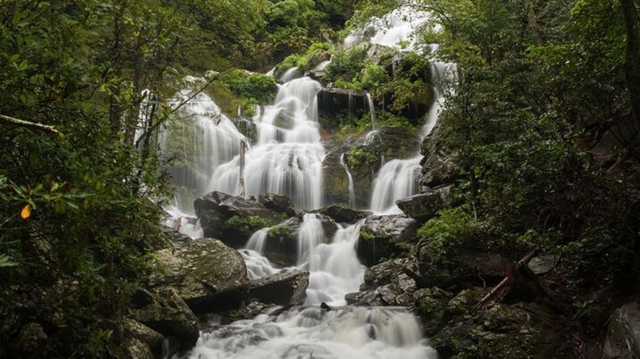 Asheville Waterfall Hike