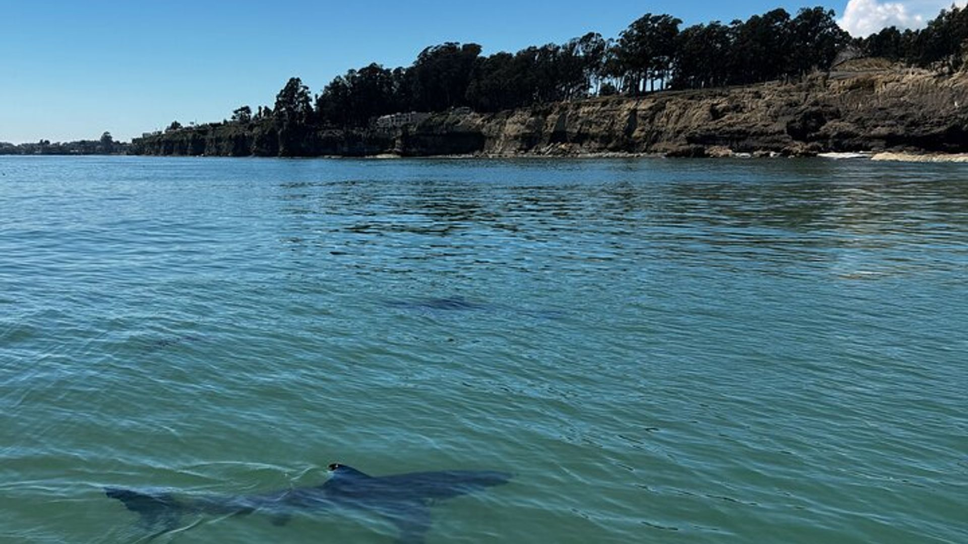 Top-bewertete Aktivitäten in Monterey Bay