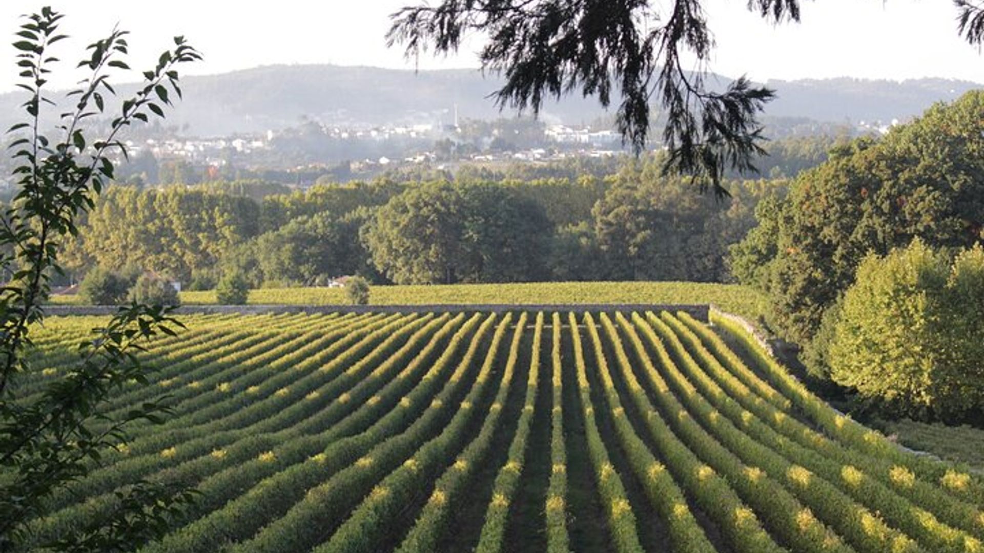 Private Tour durch die Vinho Verde Quintas in Nordportugal