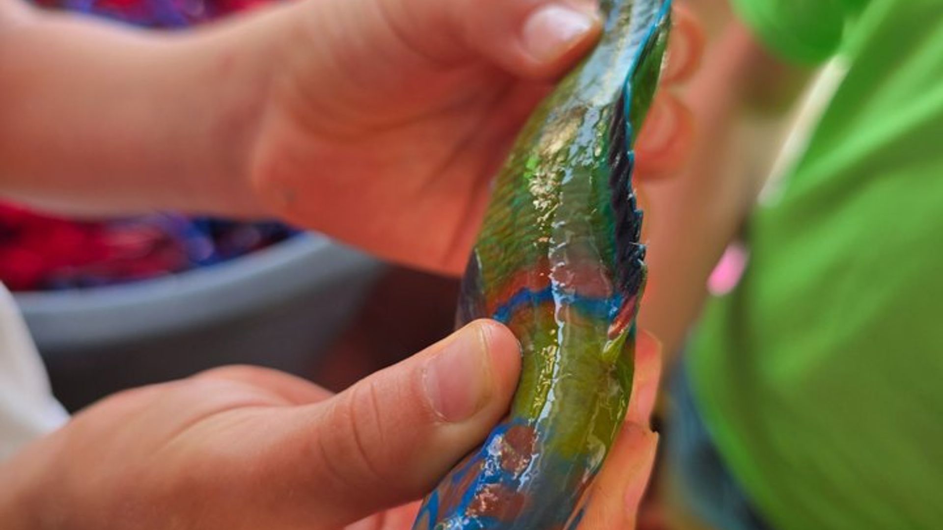 Tourisme de pêche sur l'île d'Elbe avec apéritif et dîner à bord