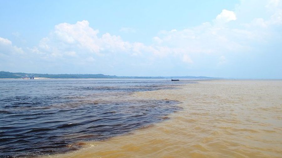 Amazon Negro River Half-Day Expedition Tour