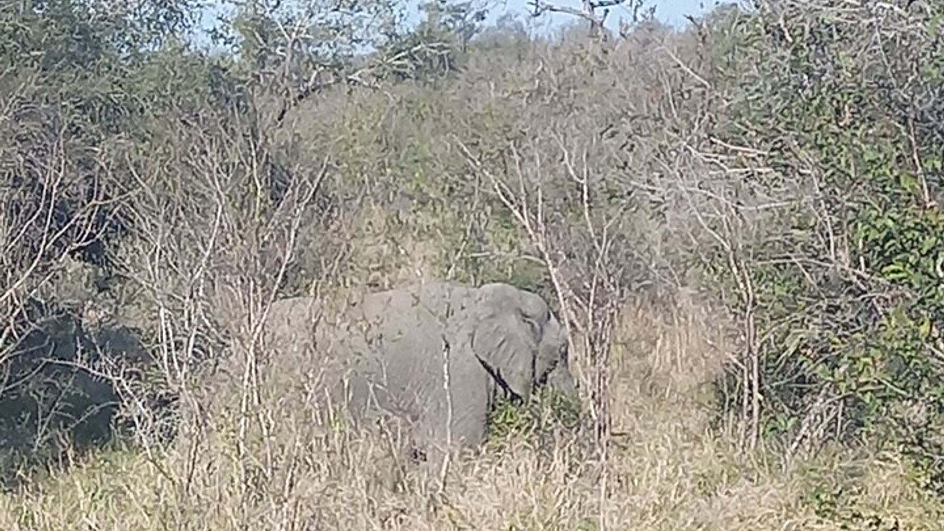 Pariki ya Pilanesberg kuva Johannesburg cyangwa Pretoriya