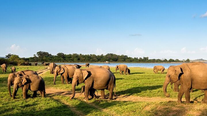 Private Multi-Day Outdoor Tour in Sri Lanka