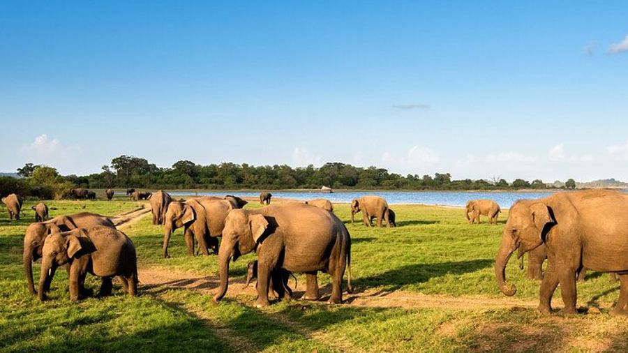 Private Multi-Day Outdoor Tour in Sri Lanka