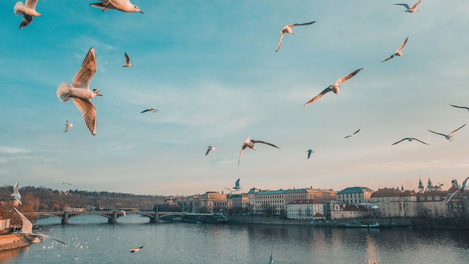 Czechia Prague Photography Highlights Tour