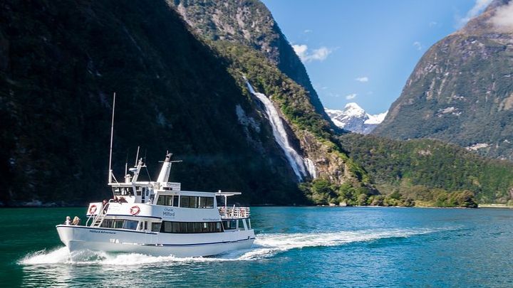 Milford Sound Boutique Wildlife Cruise