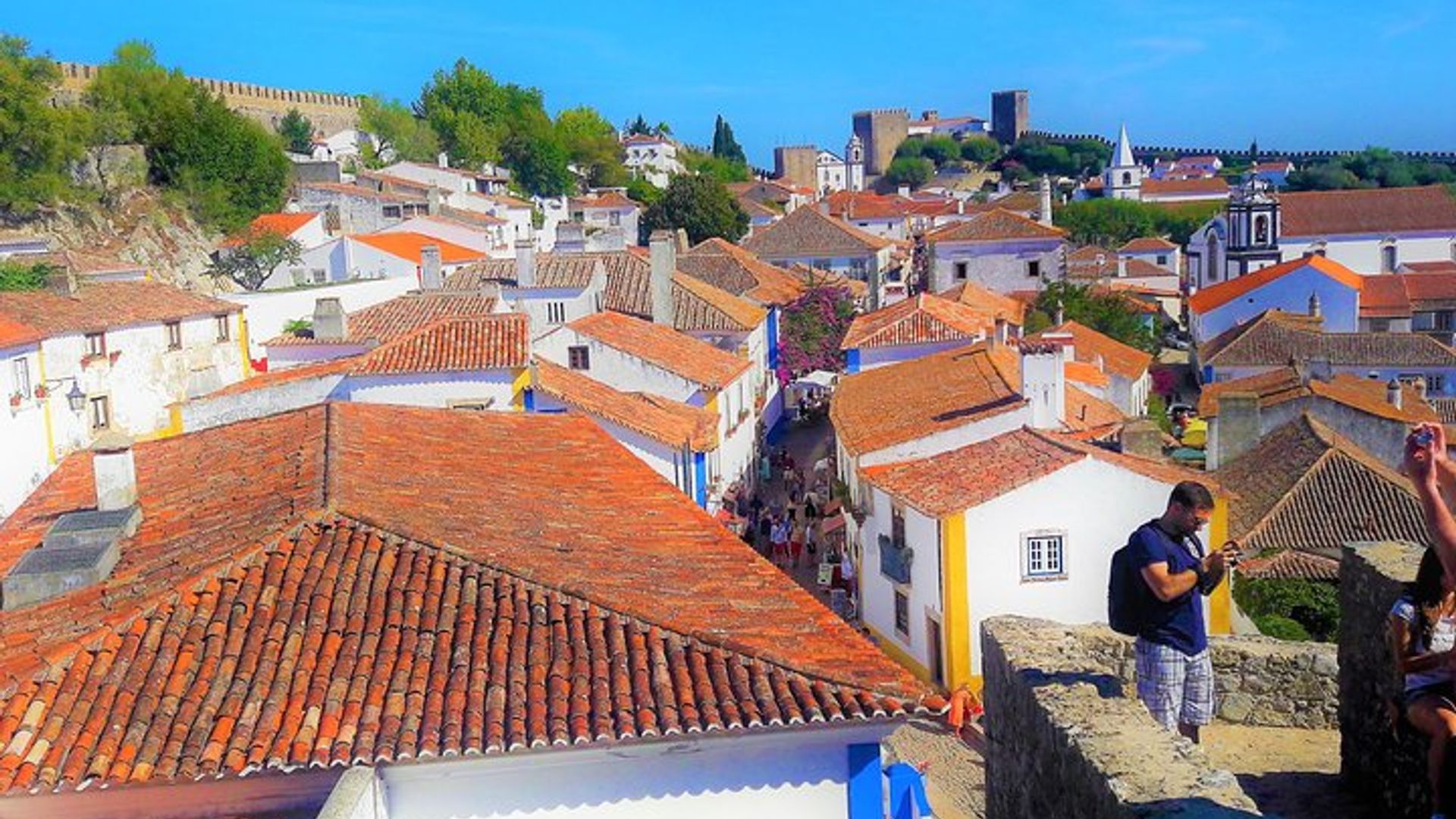 Tour privado del pueblo medieval de Óbidos, Patrimonio de la Humanidad