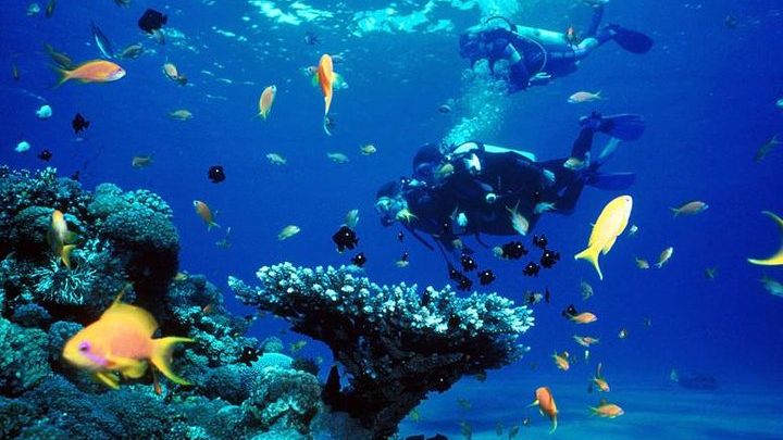 Phuket Small-Group Intro Scuba Diving Course