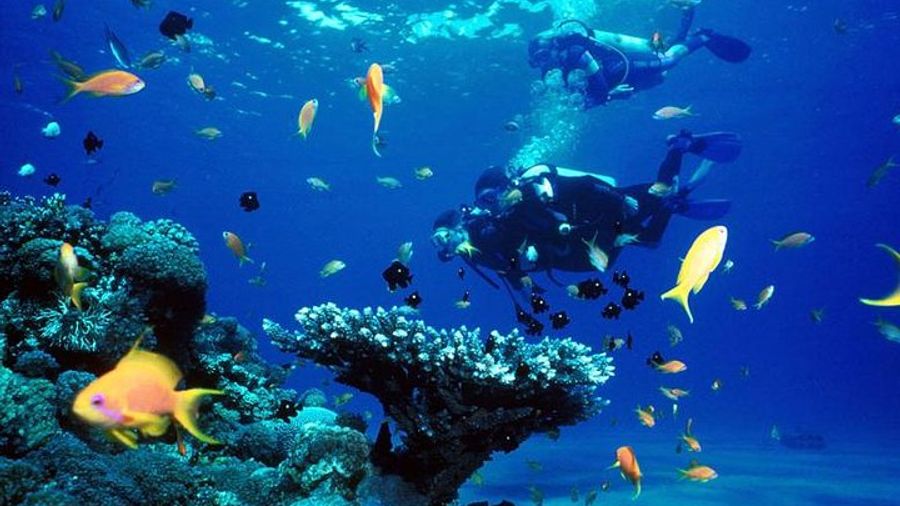 Phuket Small-Group Intro Scuba Diving Course