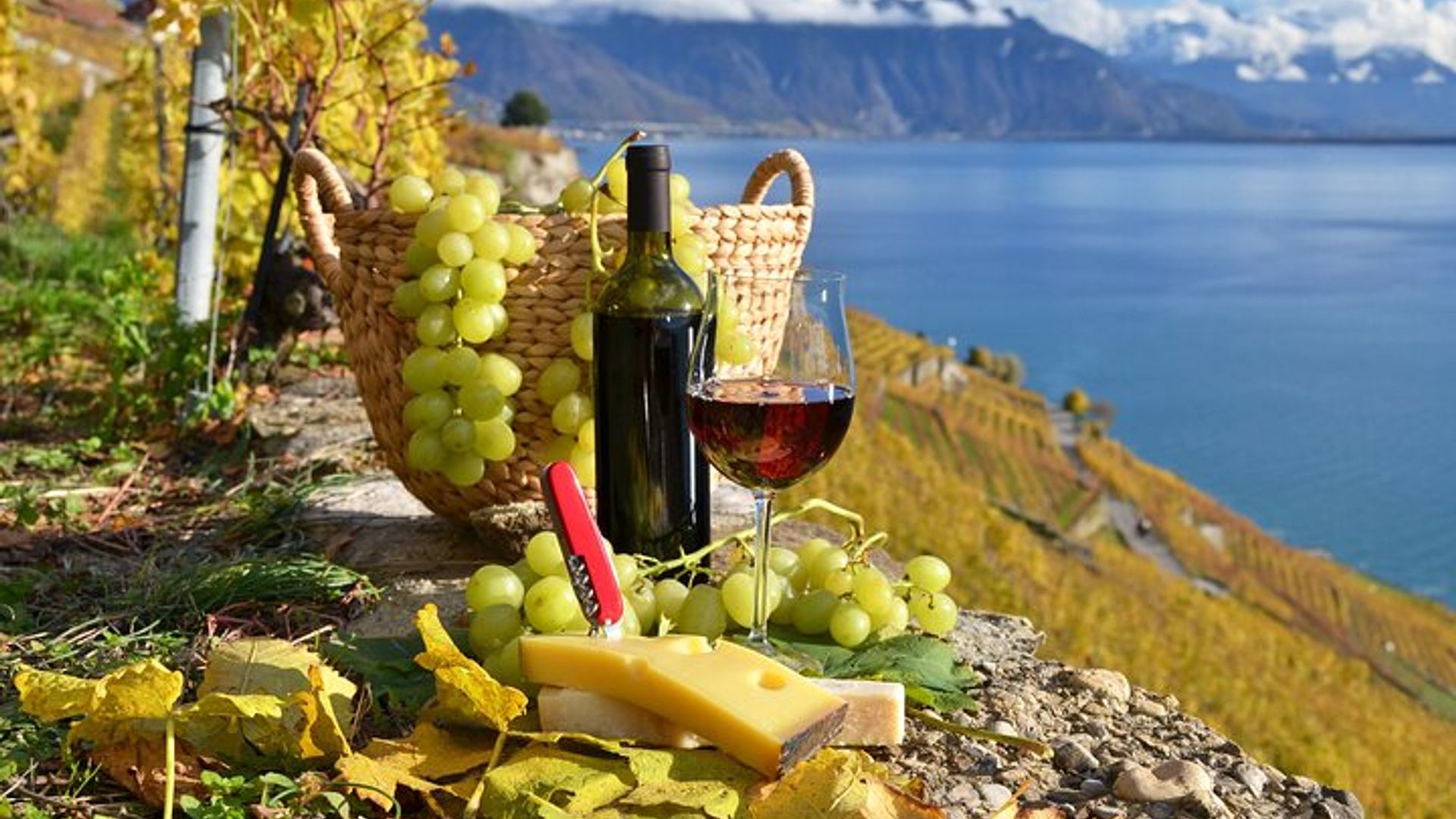 Käse, Schokolade und Wein (Private Tour)