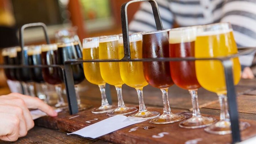 Charlotte Craft Brewery Tour
