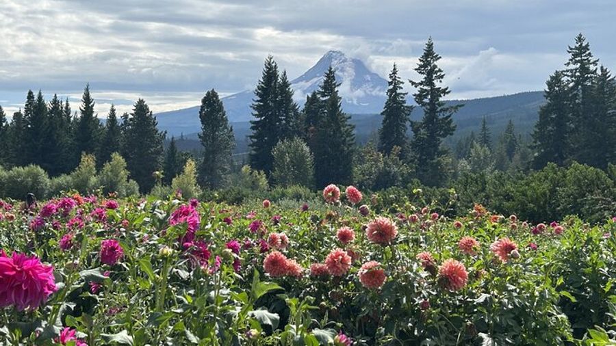 Mt Hood, Multnomah Falls, and Hood River from Portland