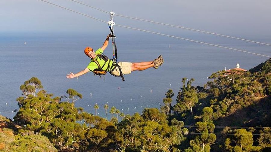 Catalina Island Zipline Eco Tour