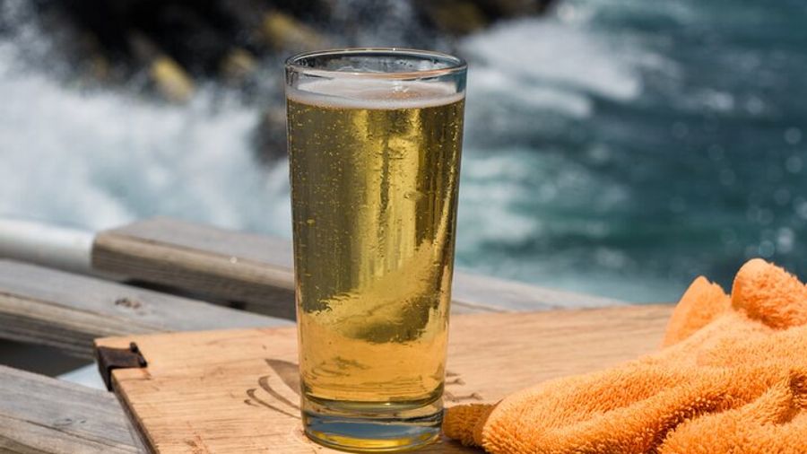 Ensenada Small-Group Tacos, Craft Beer, and Views Tour