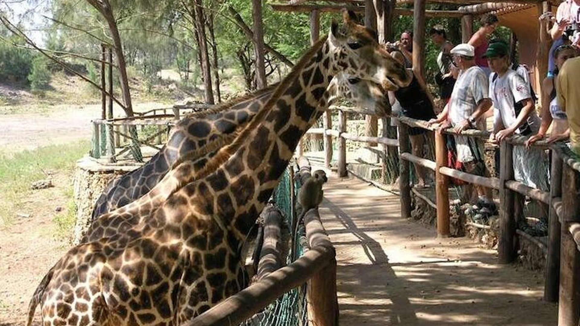 Mombasa Getaway with Haller Park Tours