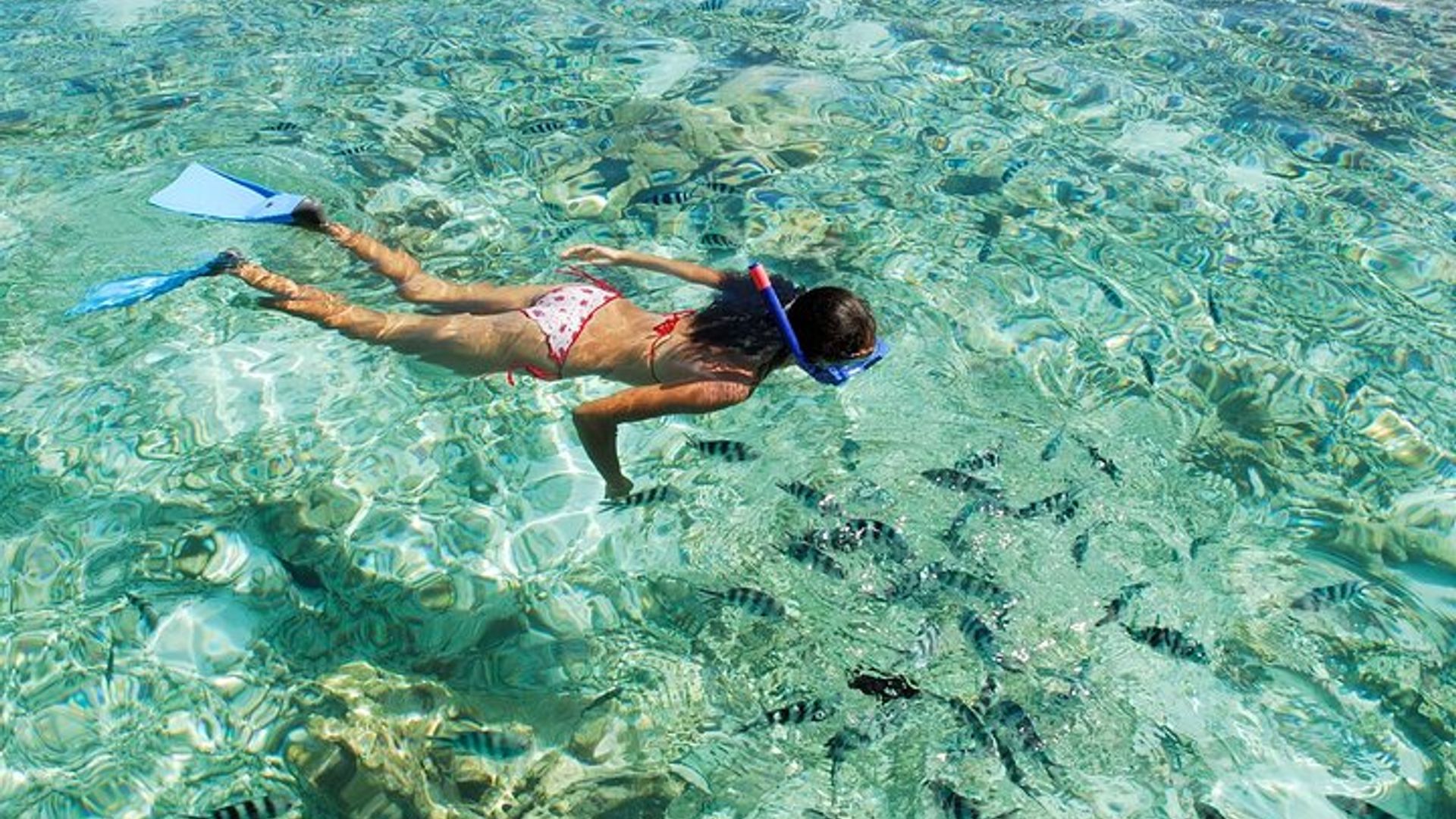Full Day Glass Bottom Boat Excursion inc Lunch