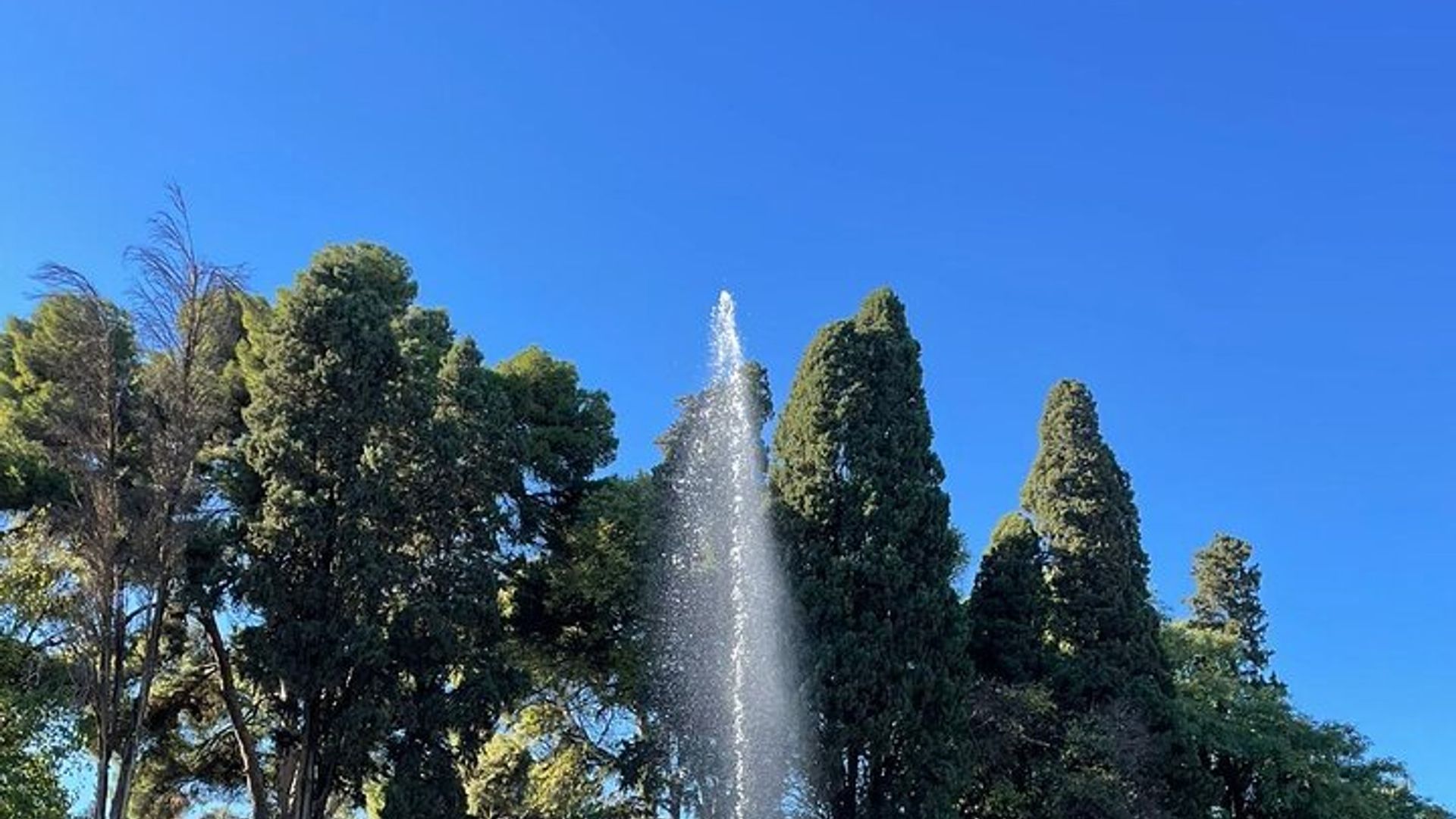 Demi Journée Visite Privée guidée de la Médina de Fès