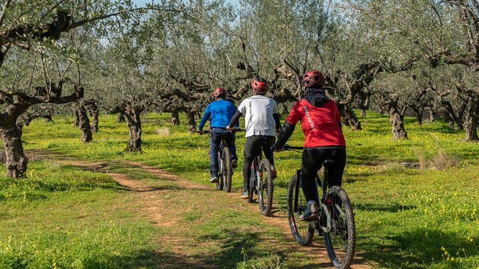 E-Bike Kalamata Olive Routes