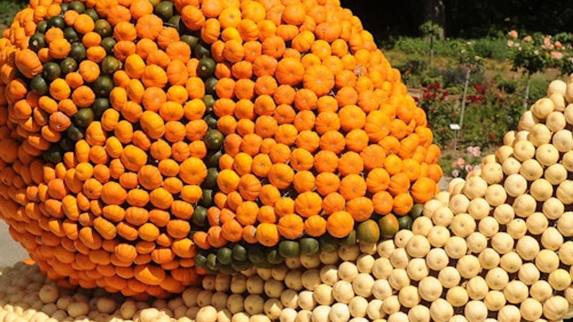 Schloss Groot-Bijgaarden: Pumpkimania 2025