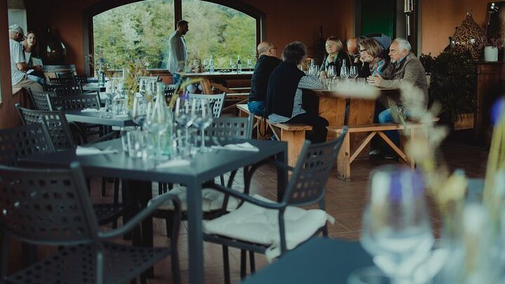 Lucca Private Wine Tasting Experience - Tenuta Adamo Winery