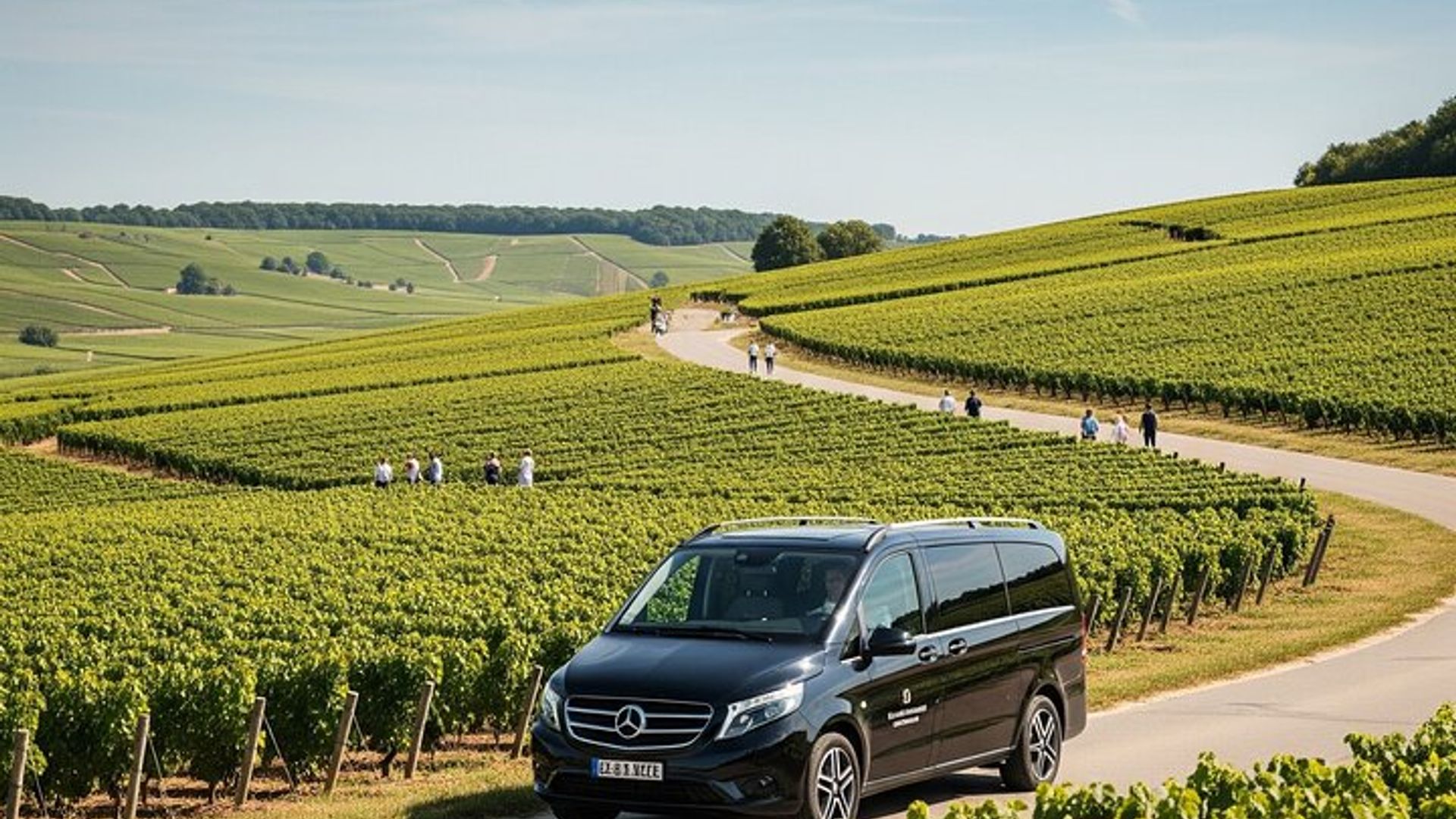 Visite privée à Dijon avec votre guide officiel